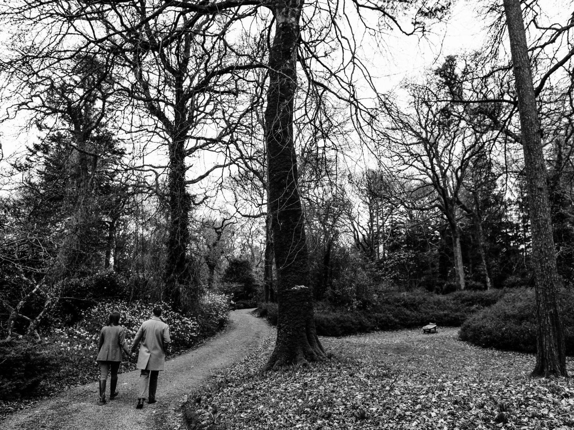 The Forest At Mount Congreve Gardens Kilmeaden ภายนอก รูปภาพ