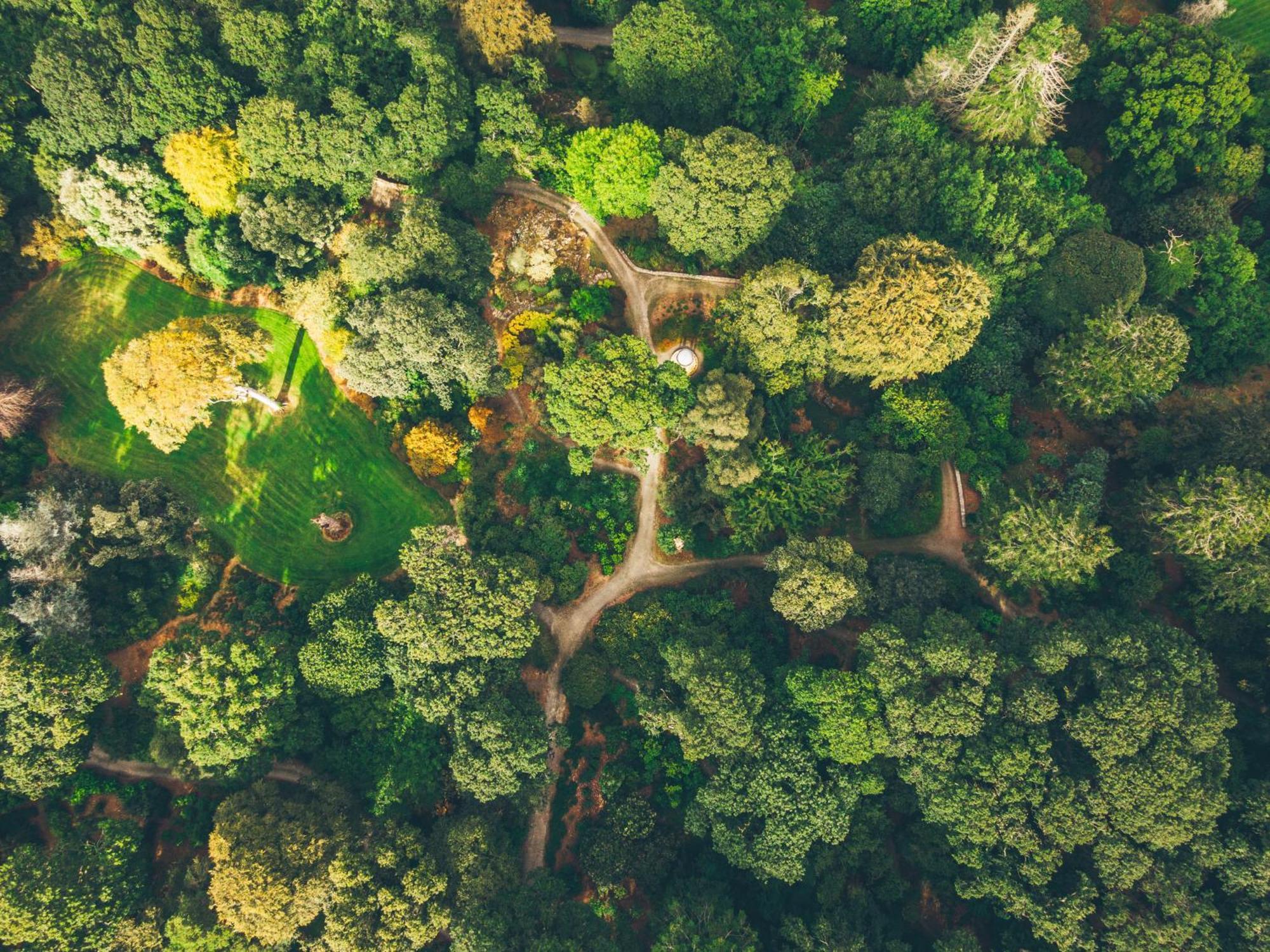 The Forest At Mount Congreve Gardens Kilmeaden ภายนอก รูปภาพ