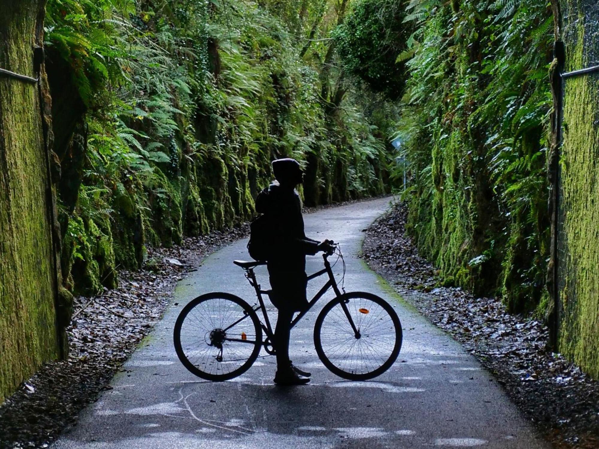 The Forest At Mount Congreve Gardens Kilmeaden ภายนอก รูปภาพ